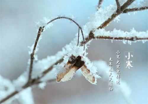 小寒节气要防寒保暖注意养生技巧